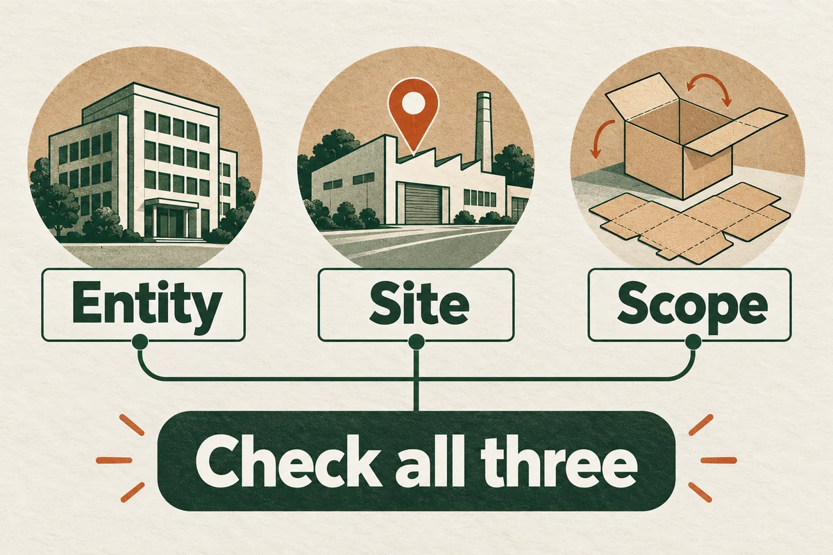 Entity, Site and Scope shown as three separate checks